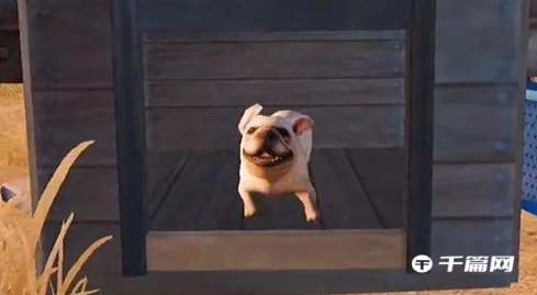 《黎明觉醒：生机》宠物狗获取方法介绍